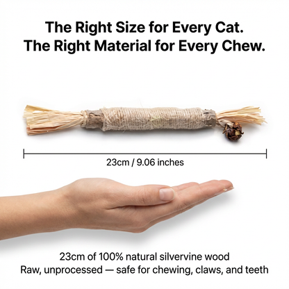Novare™  Natural Silvervine Sticks